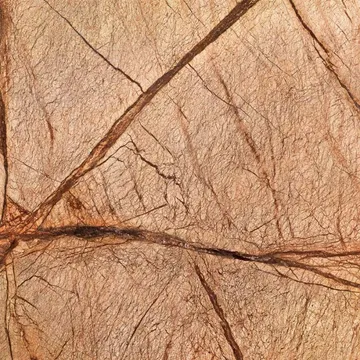 Bidasar Brown — Мармур